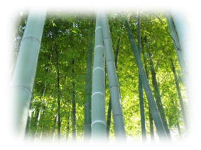 �|�т̔��̂��v���܂��B